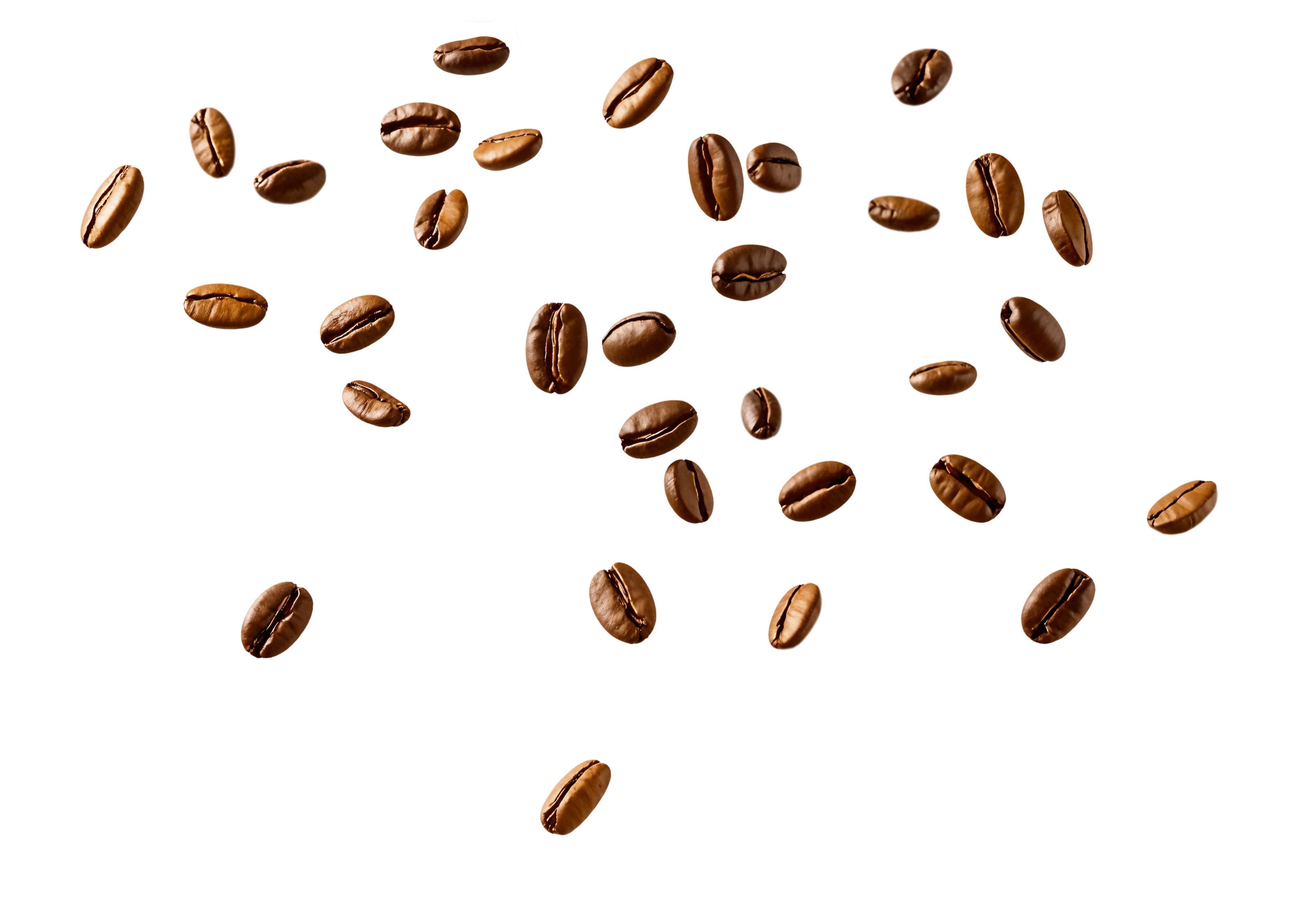 Coffee Bean Divider
